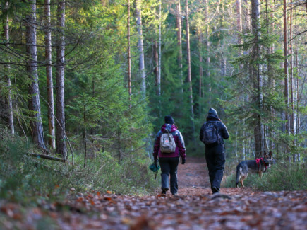 Kuvassa ihmisiä metsälenkillä koiran kanssa