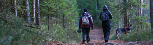 Kuvassa ihmisiä metsälenkillä koiran kanssa