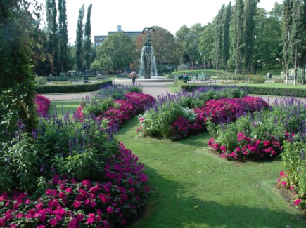 Kuvassa on Sibeliuksenpuiston kesäkukkia