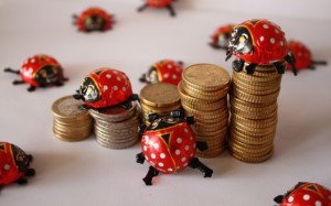 Kuvassa euroja ja leppäkerttuja