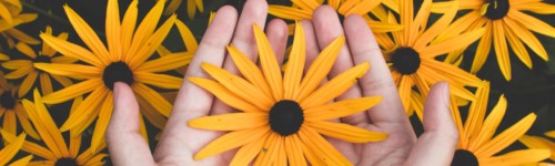 Heltainen kukka kädessä