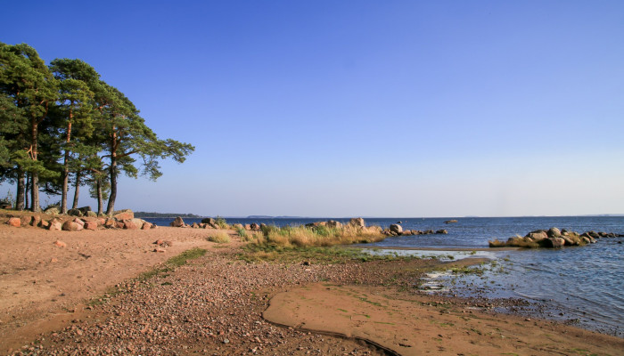 Äijänniemen uimaranta, jossa hiekkainen uimaranta