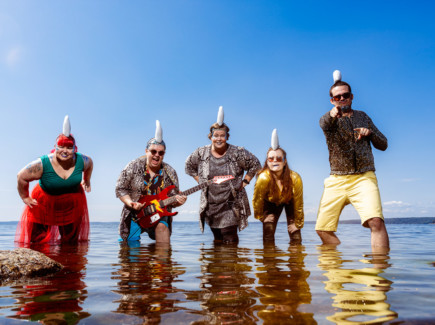 Kuvassa Diskohai yhtyeen viisi jäsentä, joilla päässään leikkihain evä ja he seisovat matalassa vedessä