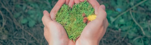 Kuvassa kädet ojentavat vihreää ruohoa olevan sydämen.