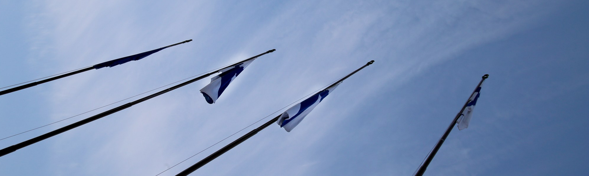 Kuvassa Suomen lippuja rivissä