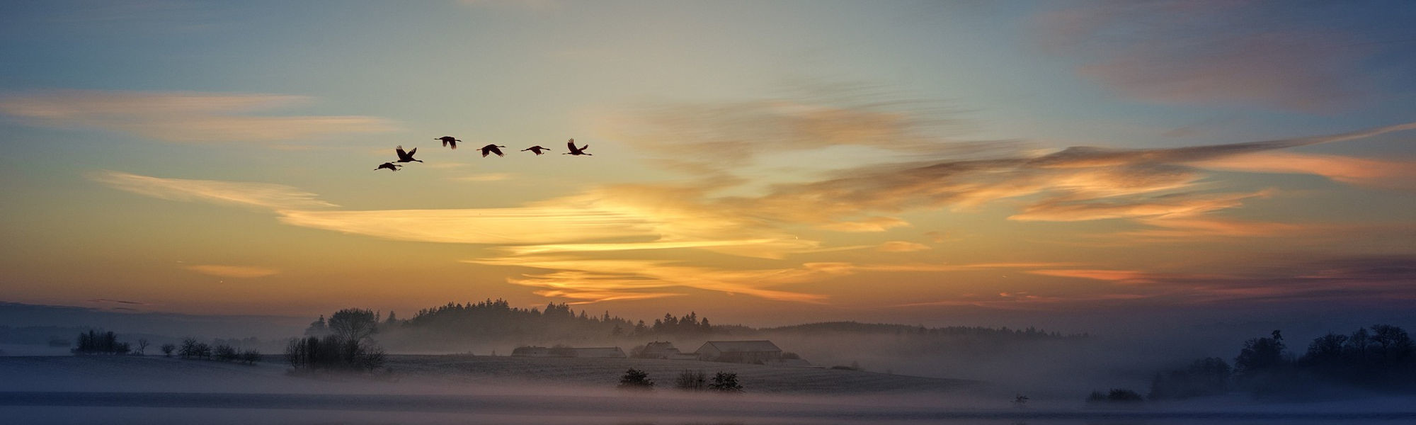 muuttolintuja auringonlaskussa