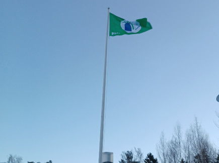 Vihreä lippu