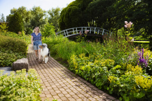 On the photo woman and dog in the park