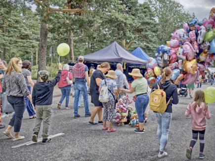 On the photo is festival