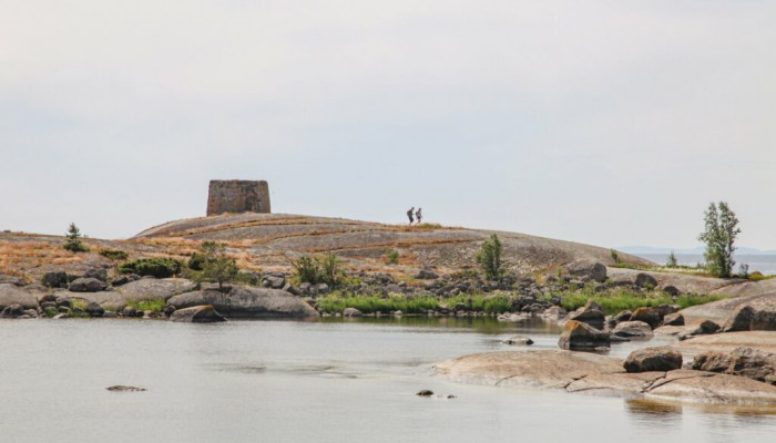 Rankki