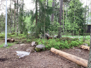 Käpylän koulun lähimetsää