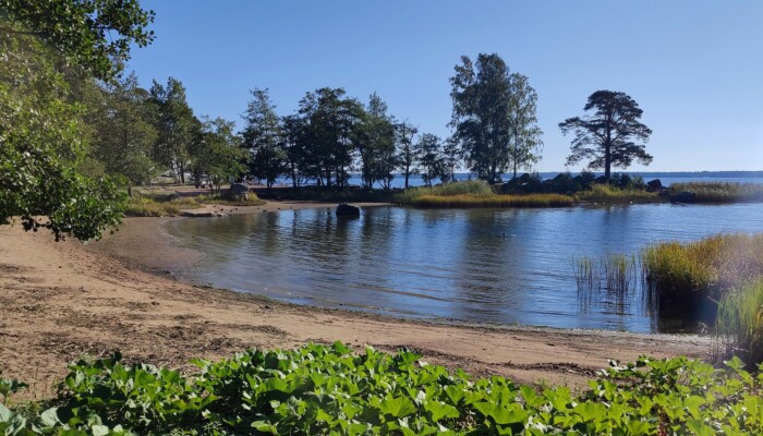Mansikkalahden lasten uimapaikka ilman uimareita.