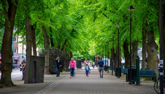 Lehmuskujalla kävelee muutamia ihmisiä.