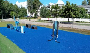 Hirssaaren lähiliikuntapaikka