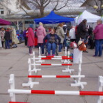 YK:n kansainvälistä vammaisten päivää vietetään 3.12.