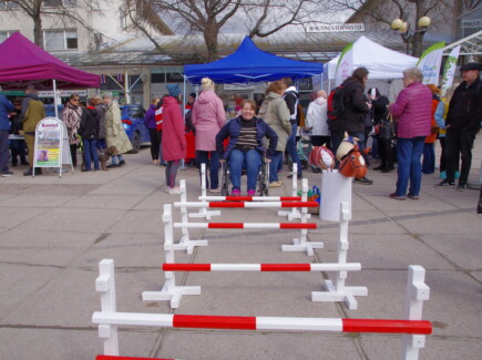 Ihminen pyörätuolissa esteradan äärellä.