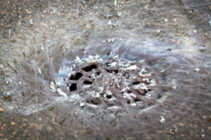 Kuvassa on veden täyttämä viemäri