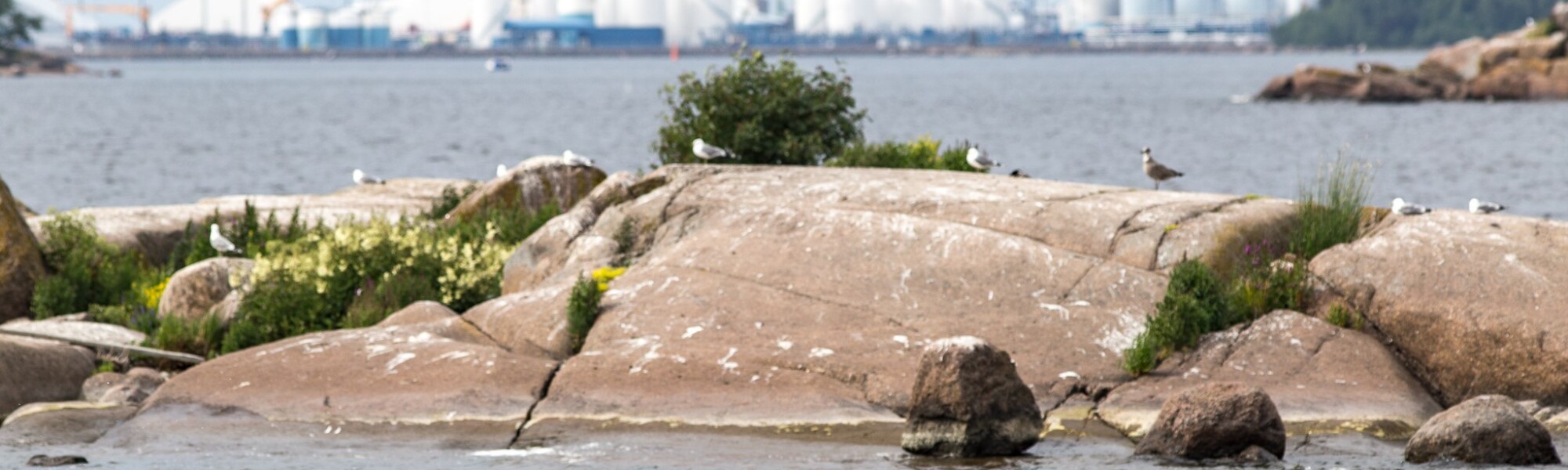 Kuvassa merta, taustalla satama, etualalla kallio.