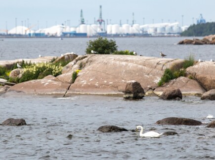 Kuvassa merta, taustalla satama, etualalla kallio.