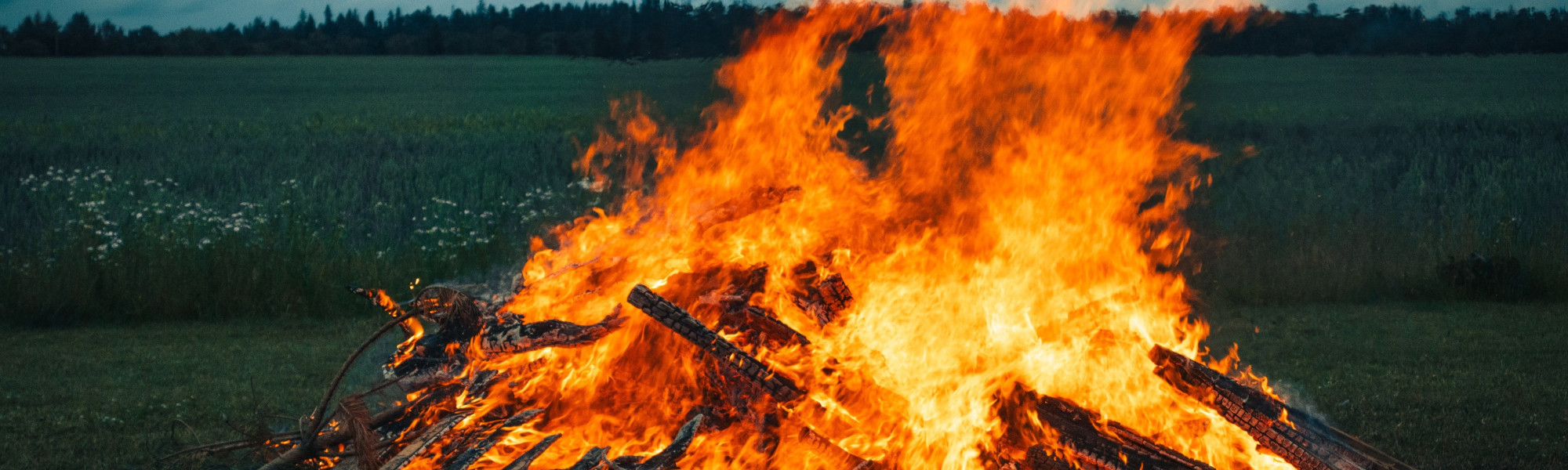 Juhannuskokko