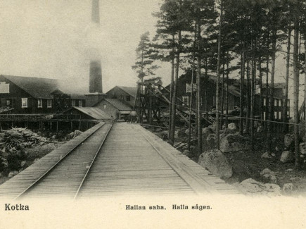 Hallan saha